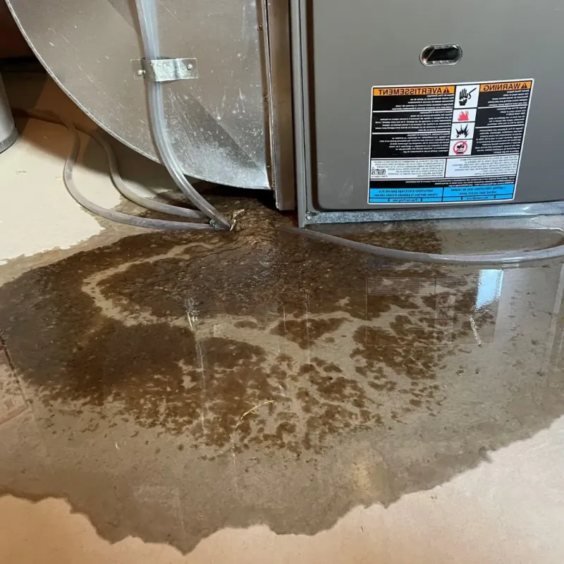 Pipe Burst and Leak Restoration in Country Club Village, MO
