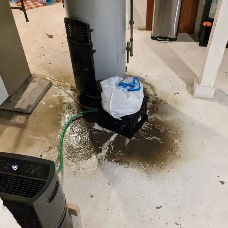 Sewage Backup Cleanup Service in Country Club Village, MO